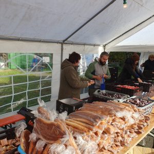 180e90f8-2880-4a5d-81dd-845fd7079e9d