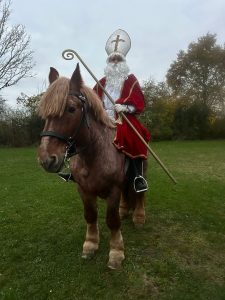 f91e0c0f-50c6-4912-8eb7-25d90f3c71fd